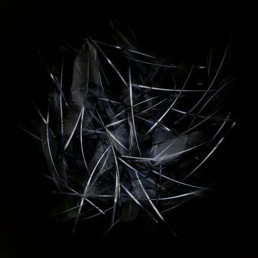 Dreamcatcher 03