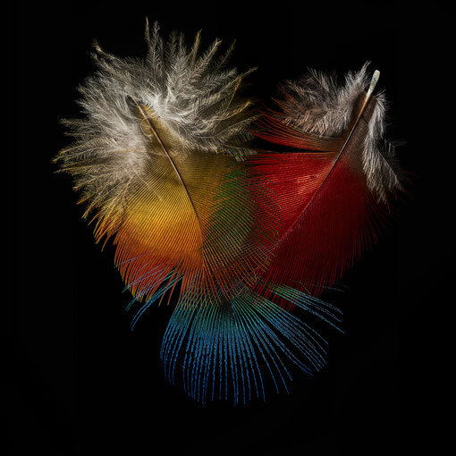Dreamcatcher 08