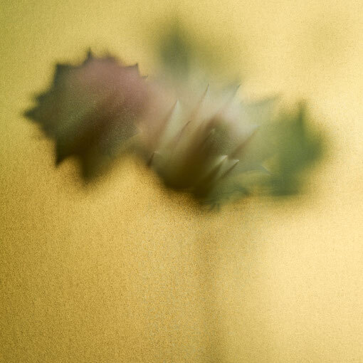 beyond 08