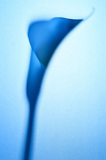 beyond 01