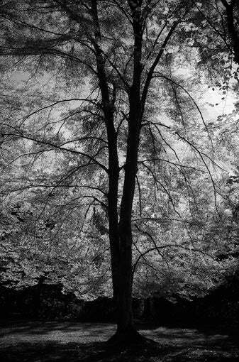 architecture of eden 36
