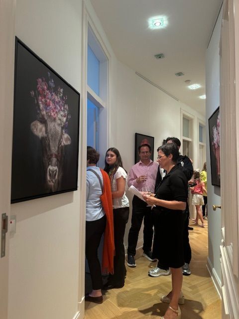 Mixed Media: Celebrating Art's Many Forms